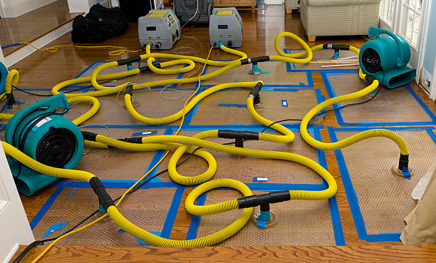 Professional Storm Water Damage Restoration technician working in Mohnton, PA